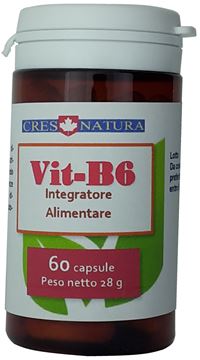 vit-b6 60 capsule, pilloliere